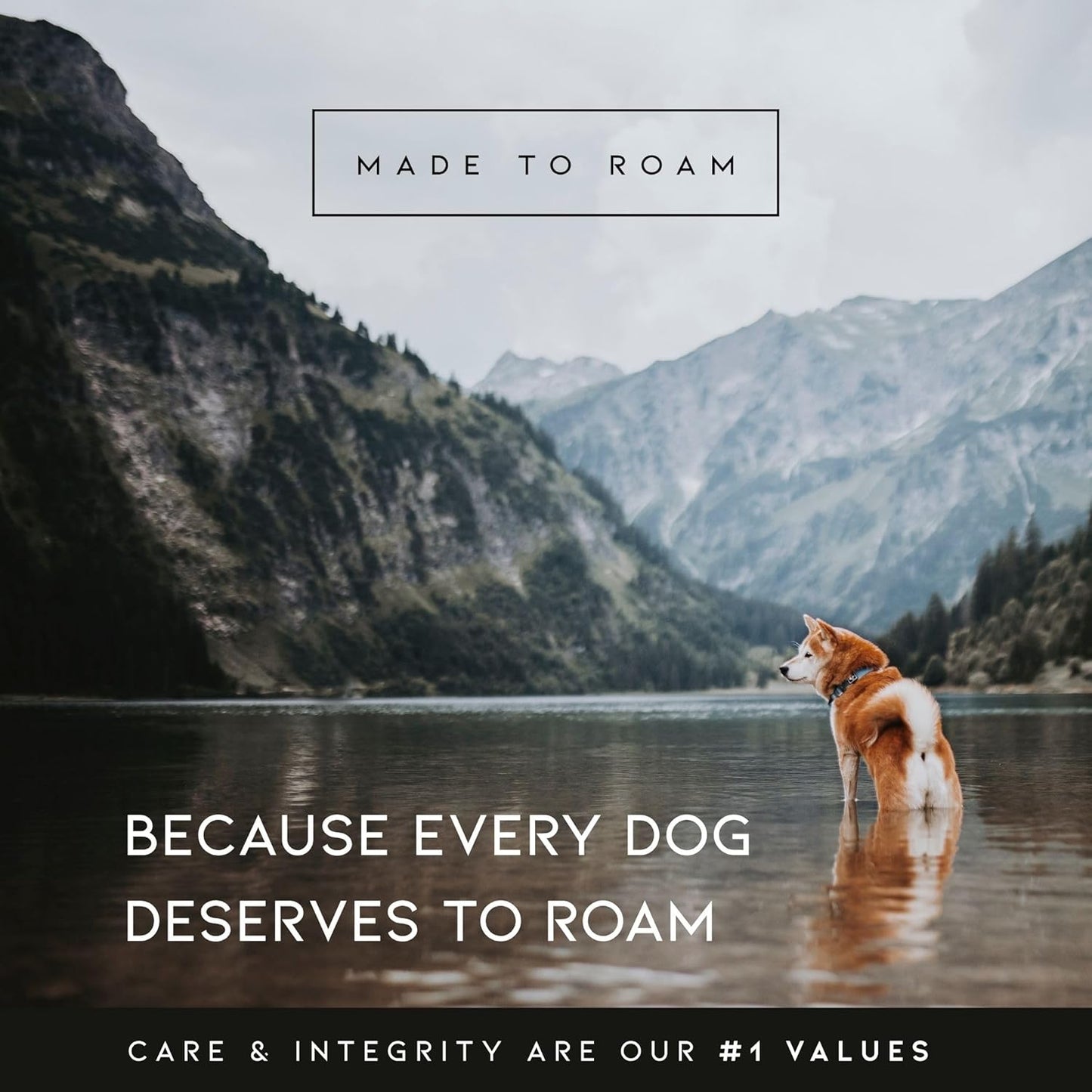 MADE TO ROAM Premium Explorer Harness - Y-Shaped Dog Harness with Adjustable Durable Nylon, Soft Padding, Metal Buckles and Leather Handle for Small, Medium, Large Dogs (Michigan Autumn, Size 2)