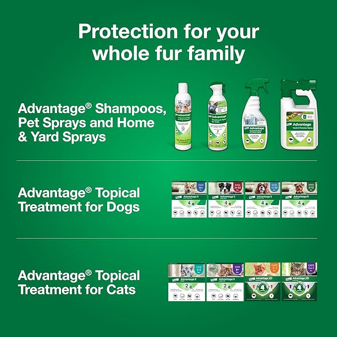 Advantage Cat Flea Treatment Spray | Kills Fleas & Ticks | Cat Flea Spray | 8 oz.