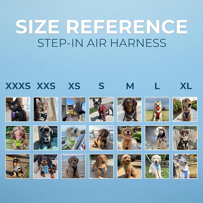 Best Pet Supplies Voyager Step-in Air Harness - All Weather Mesh, Reflective, No Pull Harness for Dogs, Cats - Secure with Hook & Loop Fastener, Buckle, Double D-Rings - Black, M