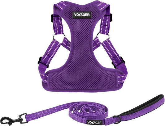 Best Pet Supplies Voyager Adjustable Step-in Flex Breathable Mesh Dog Harness for Small Medium Large Dogs Leash Set (Purple), XL