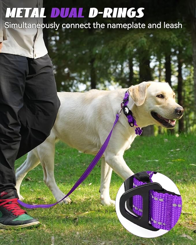 Joytale Airtag Dog Collar, Reflective Pet Collar with Waterproof AirTag Holder, Dual D-Rings, Soft Padded Adjustable for Medium Dogs, Purple, M