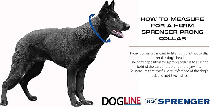 Herm Sprenger Prong Dog Training Collar Ultra-Plus Chrome Plated Steel Pet Pinch No-Pull for Dogs Anti Pull Made in Germany 2.25mm x 13in Small