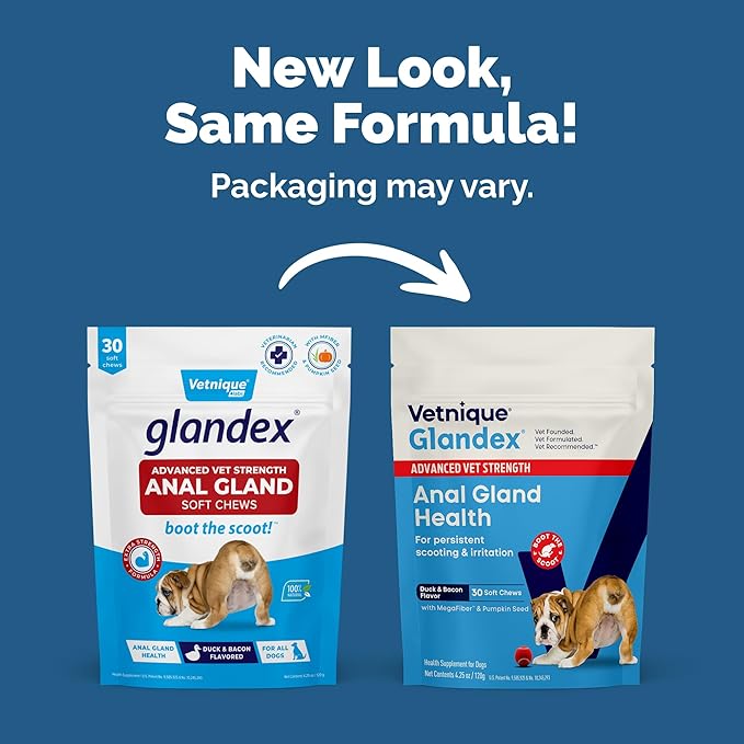 Vetnique Glandex Anal Gland Soft Chew Treats with Pumpkin for Dogs Digestive Enzymes, Probiotics Fiber Supplement for Dogs Boot The Scoot (Advanced Strength Duck/Bacon Chews (Veg), 30 Count)