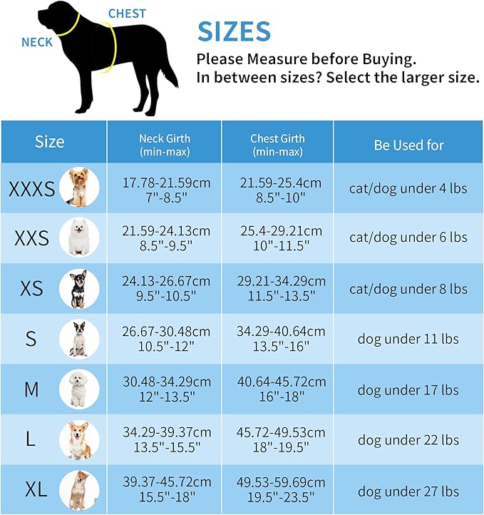 AIITLE Small Harness for Puppy with A Leash - Dog Vest Harness with Super Breathable Mesh, Reflective No-Pull Pet Harness for Outdoor Walking, Running for Small Dogs, Cats Orange XXS