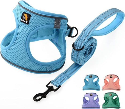 BELLA & PAL Step in Vest Harness for Small and Medium Dogs, No Pull Small Dog Harness with Leash Set, Comfortable Air Mesh Dog Vest Harness with Reflective Strip (Sky Blue, M)
