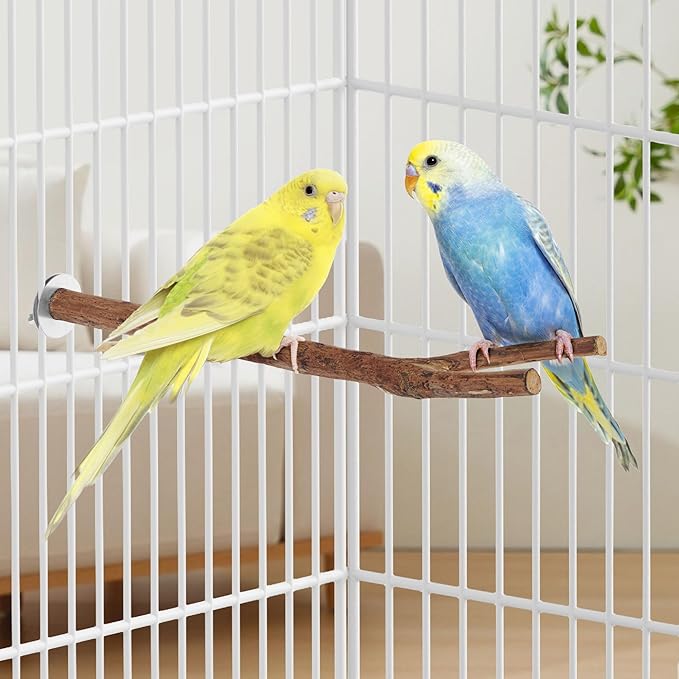 Niteangel Natural Wooden Perches for Bird Cages - Ideal for Cockatiels, Parakeets, Finches & Other Caged Birds (No-Bark, 2 Pack)