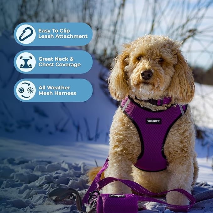 Best Pet Supplies Voyager Step-in Air Harness - All Weather Mesh, Reflective, No Pull Harness for Dogs, Cats - Secure with Hook & Loop Fastener, Buckle, Double D-Rings - Purple/Black Trim, XXXS