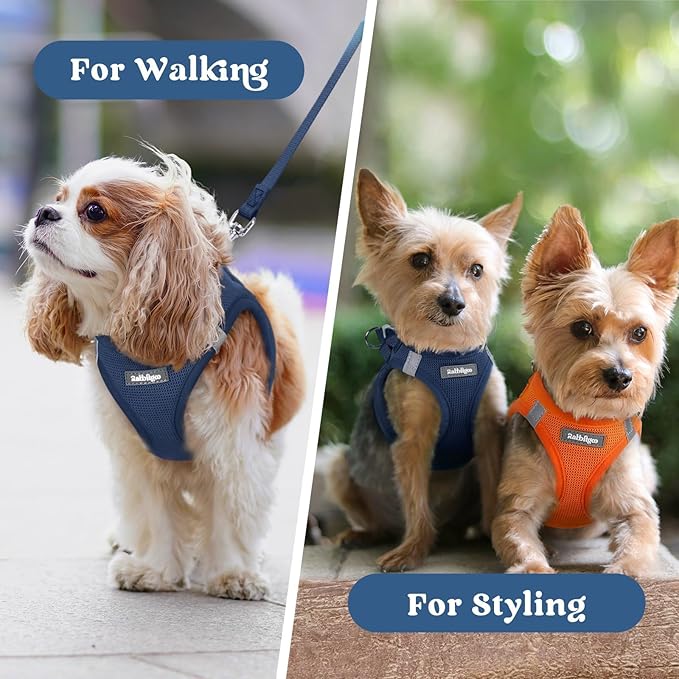 rabbitgoo Small Dog Harness, Step-in Soft Mesh Puppy Vest with Safety Buckle, Breathable Reflective Pet Harness for Small Sized Dogs, Navy Blue S