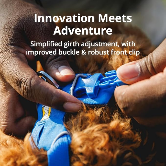 Ruffwear, Front Range Dog Harness, Reflective Soft Padded Everyday Harness with Dual Leash Clips, Adjustable and Lightweight Fit for Training or Walking for All Dogs, Coastal Mountains, Small