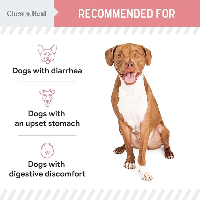 Chew + Heal Labs Anti Diarrhea for Dogs - 12 oz. of Stop The Diarrhea Liquid Supplement with Kaolin for Upset Stomach Relief - Made in The USA