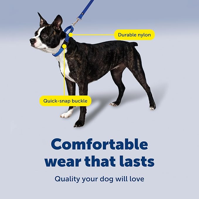 PetSafe Martingale Collar with Quick-Snap Buckle - Adjustable No-Slip Quick Release Dog Collar - Everyday Wear No-Pull Training Aid - 1" Wide - Medium - Raspberry