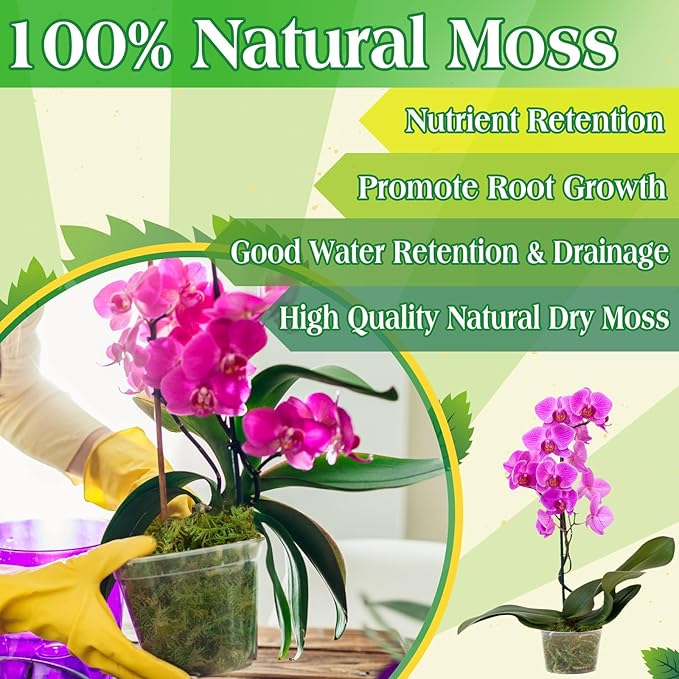 Halatool 9OZ Green Moss for Potted Plants, 12QT Orchid Moss Potting Mix, Forest Moss for Indoor Plants, Indoor Potting Plant Moss for Repotting Terrariums Garden Reptiles