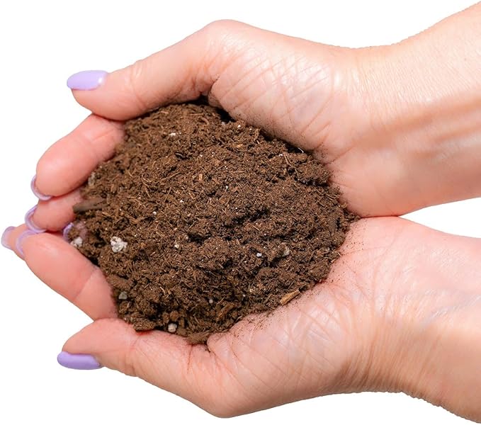 GARDENERA Money Tree Potting Soil Mix for Planting or Repotting Guiana Chestnut, Soil Blended to Properly Grow Money Tree Plants (3 Quart Bag)