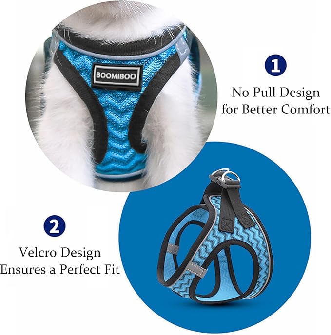 Dog Harness with Leash Set, No Pull Adjustable Reflective Step-in Puppy Pet Vest Harnesses for Small Medium Large Dogs and Cats,Orange XXS