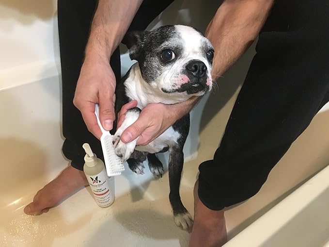Warren London Paw Scrub – Deep Cleaning Paw & Nail Cleanser with Aloe Vera – Removes Dirt & Grime – Includes Scrub Brush – Made in USA - 8 oz