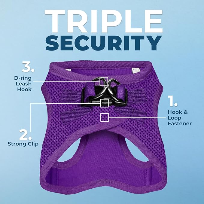 Best Pet Supplies Voyager Step-in Air Harness - All Weather Mesh, Reflective, No Pull Harness for Dogs, Cats - Secure with Hook & Loop Fastener, Buckle, Double D-Rings - Purple, XXS
