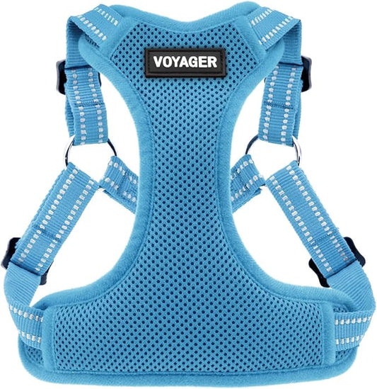 Best Pet Supplies Voyager Adjustable Step-in Flex Breathable Mesh Dog Harness for Small Medium Large Dogs (Baby Blue), XS