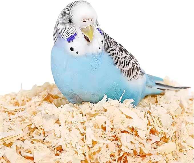 MANON ROSA Wood Shavings for Bird Bedding - Natural Aspen Soft Low-Dust & Odor-Control Nesting Material for Parakeets Parrots Rabbits Cockatiel for Cages, Nest Boxes, Small Pet Litter
