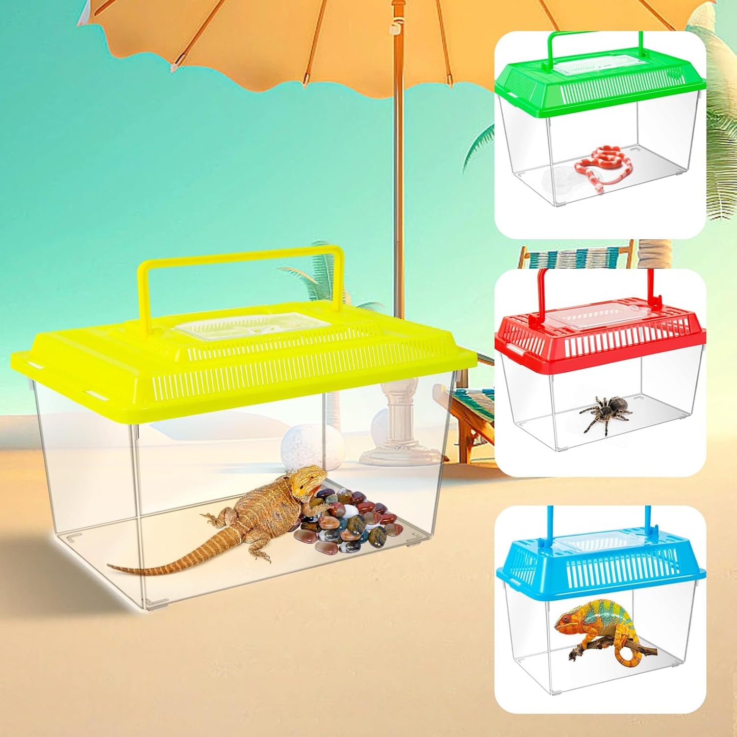12Pcs Plastic Reptile Terrariums Carrier Cage, Tarantula Enclosure Snake Breeding Box Hatching Container Transparent Fish Tank Turtle Aquarium with Random Color Lid for Shrimp, S(5.9" x 3.5" x 4.3")