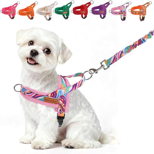 BEAUTYZOO Dog Harness for Small Dogs,No Pull Dog Harness and Leash Set,Soft Escape Proof Puppy Vest Harness with Handle,Reflective Lightweight Step in Harness for Girl Boy Dogs,Pink_Print S
