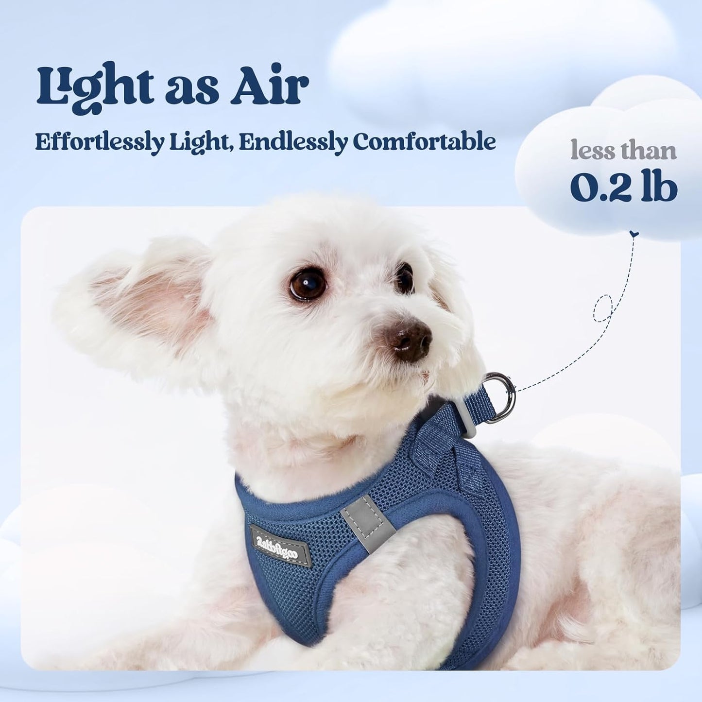 rabbitgoo Dog Harness Small Sized and Leash Set, Step in Soft Light Puppy Vest, Breathable Mesh Pet Harness, Reflective for Safe Outdoor Walking, Navy Blue M