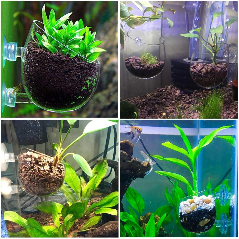 capetsma 4X Crystal Glass Aquarium Plant Pot, Aquarium Aquatic Planter, Red Shrimp Live Plants Fish Tank Glass Holder with 4X Suction Cups for Aquarium Fish Tank Decorations … (4 Pack)…