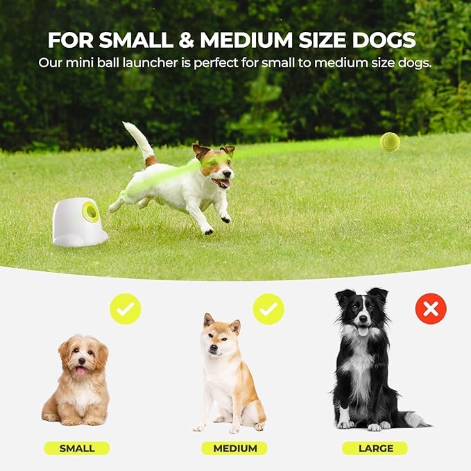 ALL FOR PAWS Automatic Ball Launcher for Dogs Interactive Puppy Pet Ball Indoor Thrower Fetch Machine, 3 Balls Included (2 inch) for Small to Medium Dogs