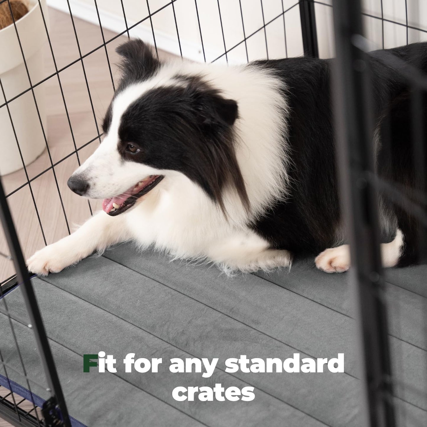 BALANCE Dog Crate Pad, Dog Foam Crate Mat Kennel Pad, Washable Water-Resistant Pet Bed Flat Dogs Cage Mat for X-Large Dogs