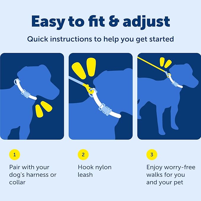 PetSafe Nylon Leash - Chew-Resistant Cat & Dog Behavioral Training Leash - Compatible with Easy-Walk Harness - Traditional-Style Reliable Pet Lead with a Padded Hand Wrap - 3/4" x 4' - Black