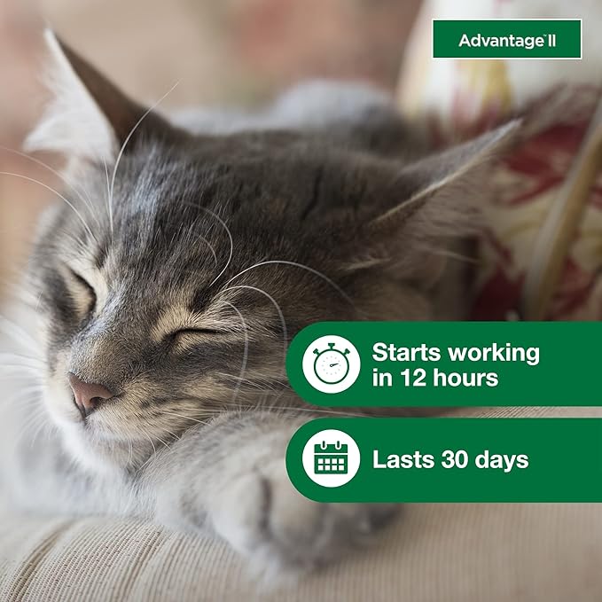 Advantage II Small Cat Vet-Recommended Flea Treatment & Prevention | Cats 5-9 lbs. | 8-Month Supply