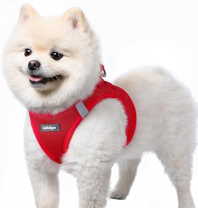rabbitgoo Small Dog Harness, Step-in Soft Mesh Puppy Vest with Safety Buckle, Breathable Reflective Pet Harness for Small Sized Dogs, Red S