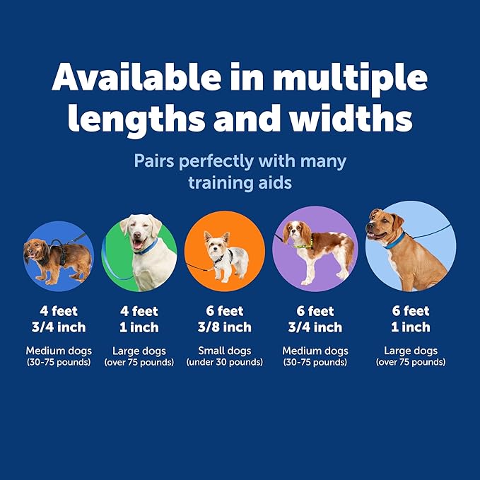 PetSafe Nylon Leash - Chew-Resistant Cat & Dog Behavioral Training Leash - Compatible with Easy-Walk Harness - Traditional-Style Reliable Pet Lead with a Padded Hand Wrap - 3/4" x 4' - Black