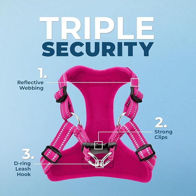 Best Pet Supplies Voyager Mesh Dog Breathable Harness Reflective Stitching, All Weather Adjustable for Walking Training, or Running - Heavy Duty & Durable, Harness Leash Set (Fuchsia), XS
