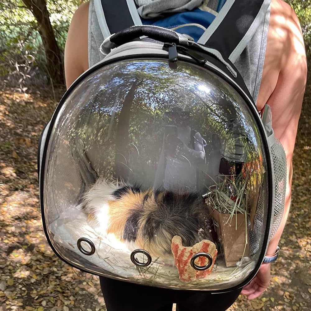 Bearded Dragon Travel Backpack with Harness and Leash Set,Lizard Backpack Travel Carrier,Space Capsule Clear Bubble Window Astronaut Reptile Carrier Backpack for Kids, Airline Approved