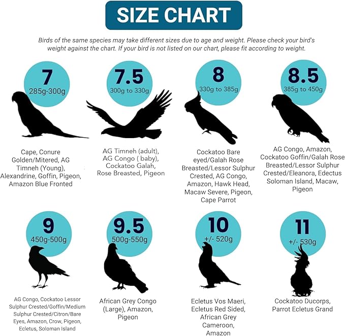 Bev's Bird Boutique Regular Flyper Adjustable Bird Diaper | Reusable, Washable Cloth | Comfort Fit for Parrot, Cockatiels, & Other Small Birds | Fashionable Avian Accessories, Retro Tux, Size 7.5