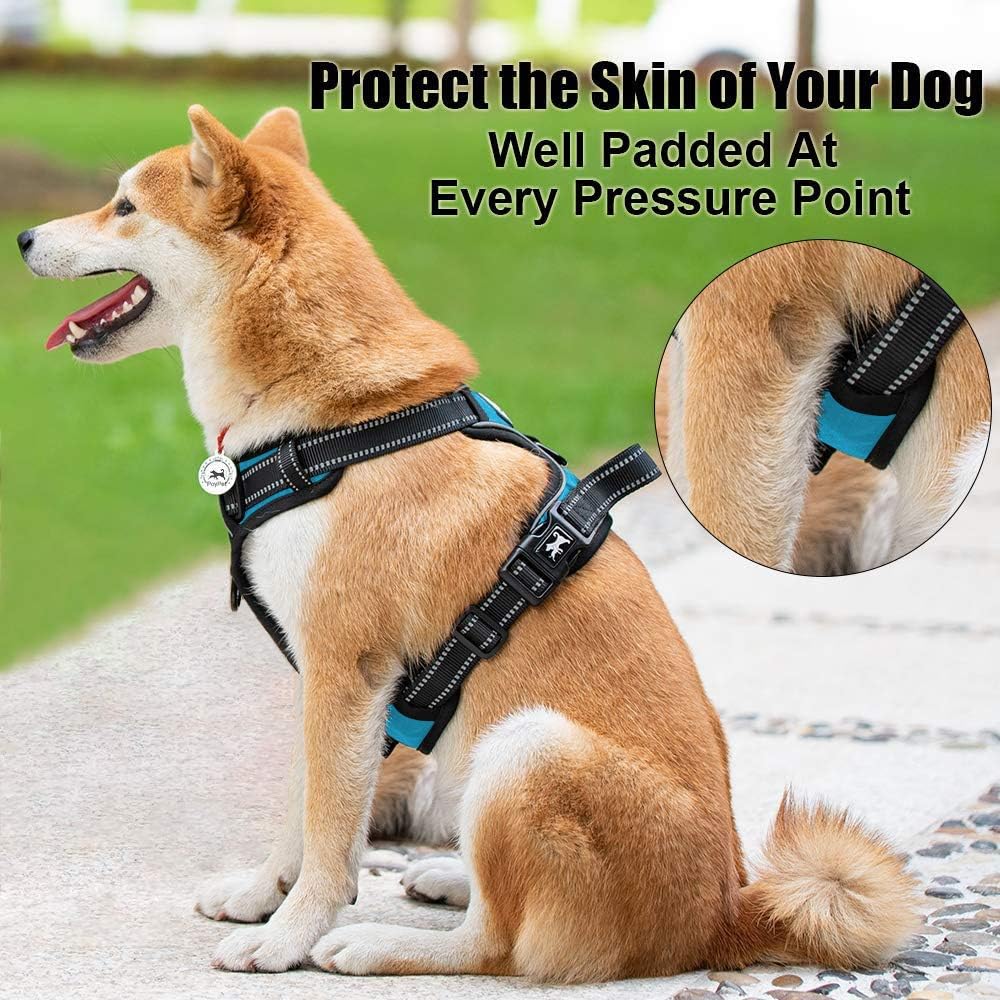 PoyPet No Pull Dog Harness, Reflective Comfortable Vest Harness with Front & Back 2 Leash Attachments and Easy Control Handle Adjustable Soft Padded Pet Vest for Small to Large Dogs (Blue,XL)