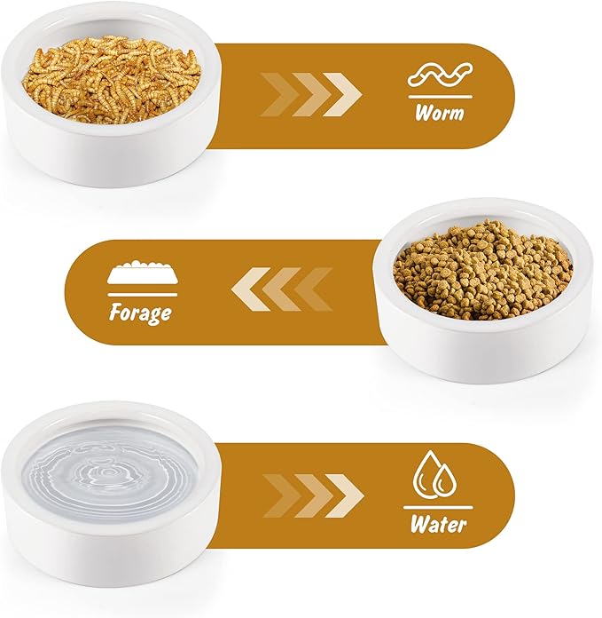 Ceramic Reptile Bowl - Mealworms & Cricket Dish for Gecko, Bearded Dragon & Chameleon - XL(5in) Anti-Escape Feeder