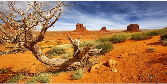 AWERT 48x18 inches Reptile Habitat Background Orange Desert Terrarium Background Durable Polyester Background