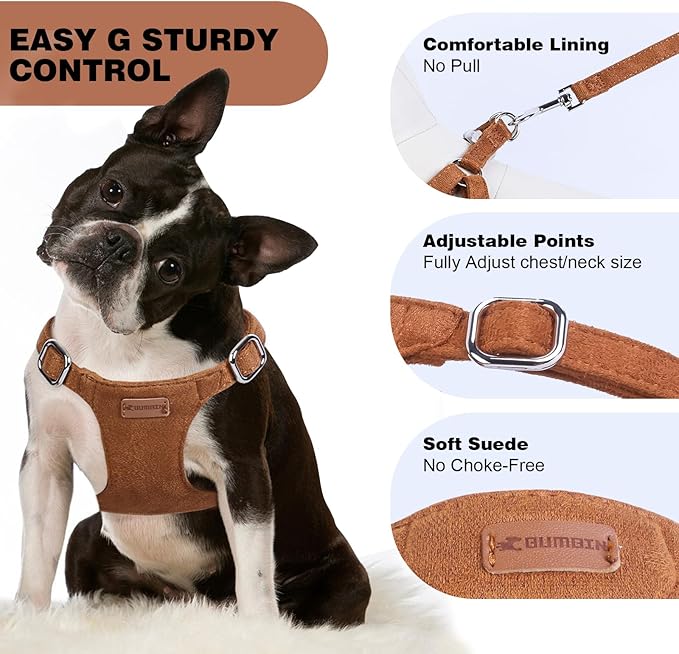 Dog Harness and Leash Set, XXS No Pull Adjustable Puppy Harness with Multifunction Pink Dog Leash and Dog Collar, Soft No Choke Escape Proof Pet Harness Vest for Small Dogs and Cats (Brown, S)