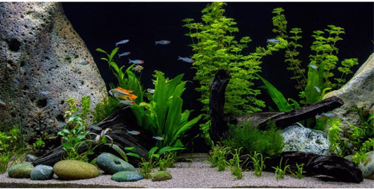 AWERT Vinyl Underwater Aquatic Plant Fish Tank Background Stone River Bed & Lake Aquarium Background 36x24 inches