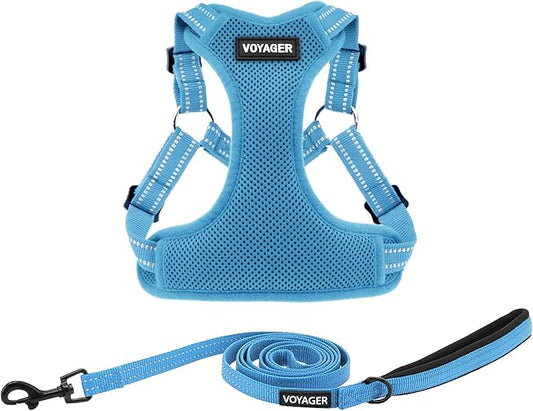 Best Pet Supplies Voyager Adjustable Step-in Flex Breathable Mesh Dog Harness for Small Medium Large Dogs Leash Set (Baby Blue), S