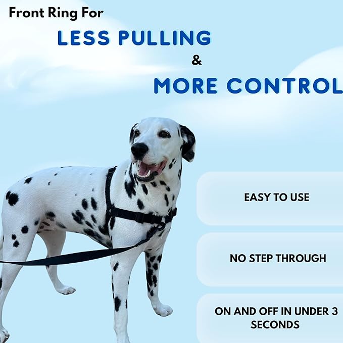ShawnCo Dream Walk No-Pull Dog Harness- Adjustable, Comfortable, Easy to Use Pet Halter to Help Stop Pulling for Small, Medium and Large Dogs (Mustang Red, S)