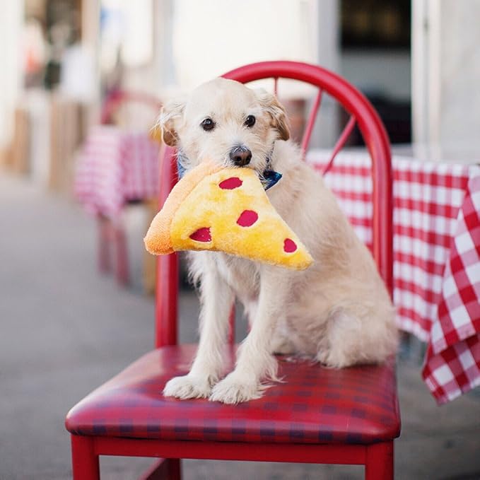 ZippyPaws NomNomz - Dog Squeaky Toys to Keep Them Busy, Funny Food Plush for Small & Medium Dogs, Cute Stuffed Puppy Toy, Pet Products, Gift for Dogs of All Breeds, Soft and Cuddly - Pizza