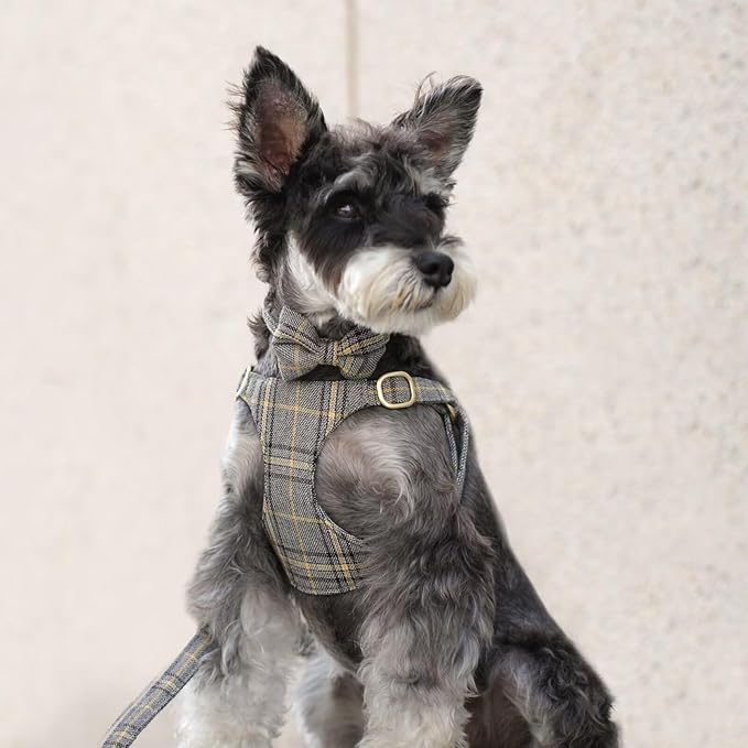 Beirui Cute Small Dog Harness Collar and Leash Set with Bowtie, Soft Adjustable Plaid Puppy Harness for Small Sized Dogs Cats Walks Parties and Photoshoots(Gray,S:Chest 17-23")