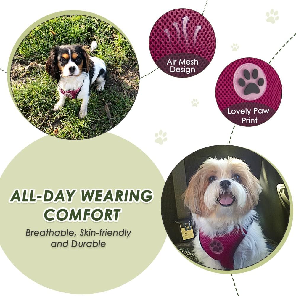 Lukovee Dog Seat Belt for Car, Adjustable Dog Car Harness for Large Medium Small Dogs, Soft Padded & Breathable Mesh Dog Seatbelt with Car Strap and Carabiner(Rose Double Clip,XXX-Small)