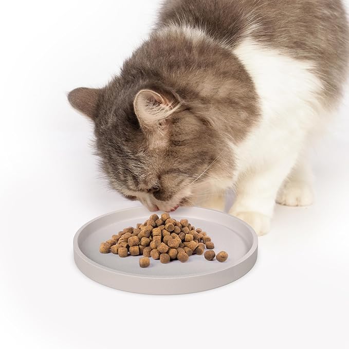 Arespark Pet Silicone Food Mat, Set of 2 Nonslip Waterproof Feeding Bowl Mat with Raised Edges for Food and Water Prevent Spills, Round Eating Tray for Dog Cat Puppy Kitten, 6'' x 6''