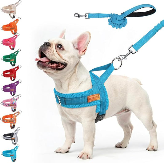 BEAUTYZOO Dog Harness for Small Dogs, No Pull Dog Harness and Leash Set, Soft Escape Proof Puppy Vest Harness with Handle, Reflective Lightweight Step in Harness for Girl Boy Dogs, Blue M