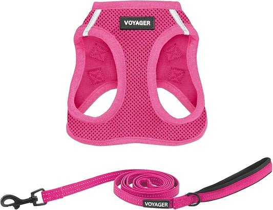 Best Pet Supplies Voyager Step-in Air All Weather Mesh Harness and Reflective Dog 5ft Leash Combo with Neoprene Handle, for Small, Medium and Large Breed Puppies - Set (Fuchsia), Small