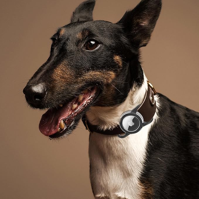 Waterproof Airtag Holder for Dog Collar, Soft Full-Body Protective Airtag Holder for Dog & Cat Collars, Ultra-Durable, Easy Installation, Lightweight Clear Airtag Case (Black, Large)