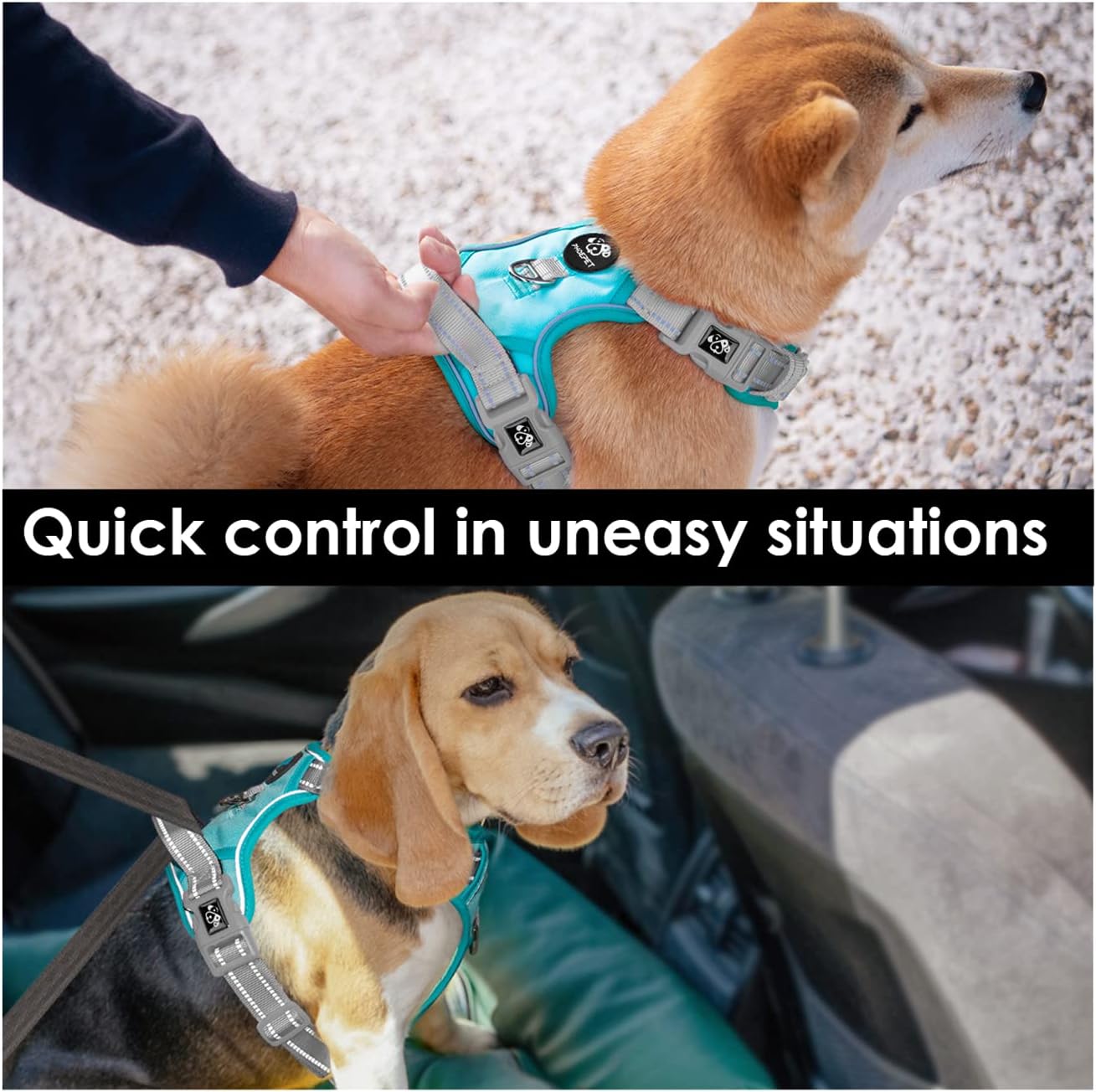 PHOEPET No Pull Dog Harness, Unique Colors Reflective Adjustable Dog Vest, with Soft Training Handle Metal Clips for Small Medium Large Dogs (Mint Green Base & Grey Straps,S)